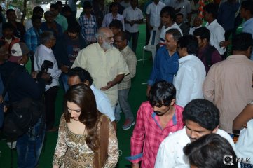 Bengal Tiger Movie Opening
